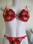 Lotes de Lindas Lingeries