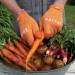 carrot_picture_72dpi1438016083