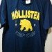 Camisa Basica Hollister (9)