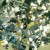 i0139_maquina_para_chuva_de_prata_sky_paper