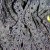 P_20190525_175303