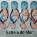 chinelo_feminino_bem_brasil_(1)__14589_std