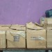 IMG-20260317-WA0040